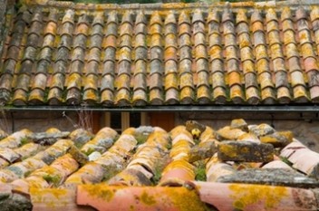 cliquez pour entrer dans sa galerie