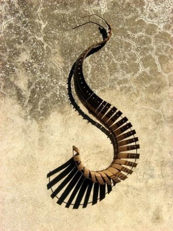 cliquez pour entrer dans sa galerie